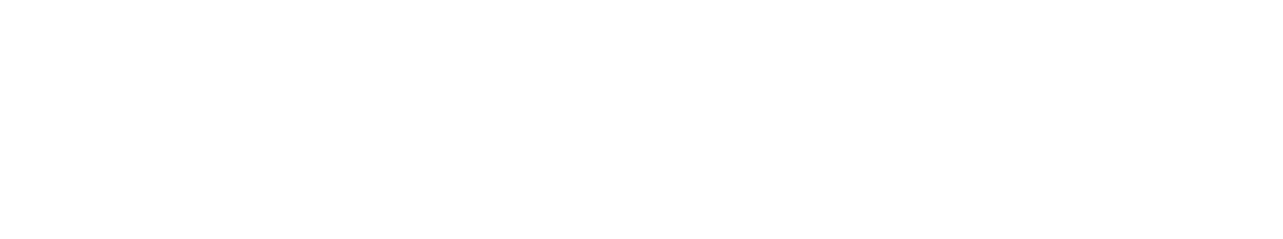 株式会社SpinFlow